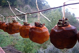 trabzon hurması kurusu