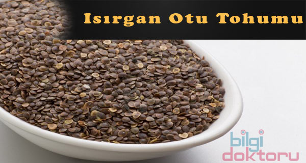 Isırgan otunun faydaları nelerdir Isırgan otu çayı nasıl yapılır Isırgan otunun faydaları nelerdir Isırgan otu çayı nasıl yapılır