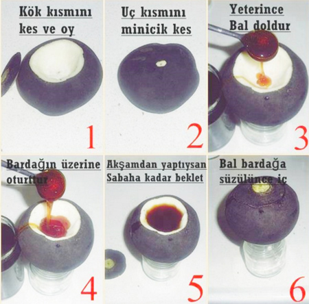 bal-ve-turp-kuru