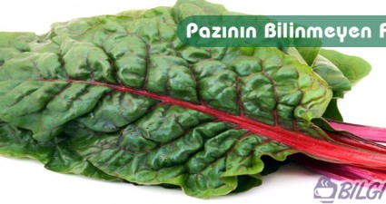 pazı sebzesi