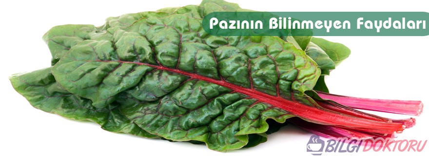 pazı sebzesi