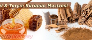 tarçınlı bal kürü