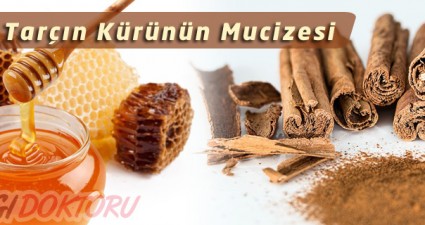 tarçınlı bal kürü