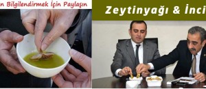 zeytinyağı