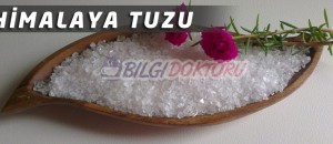 Himalaya Tuzunun Faydaları ve Kullanımı