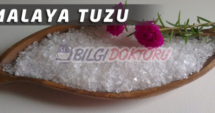 Himalaya Tuzunun Faydaları ve Kullanımı