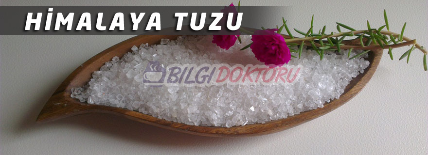 Himalaya Tuzunun Faydaları ve Kullanımı