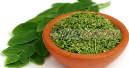 Şifalı Bitki: Moringa Oleifera Nedir? Faydaları Nelerdir?