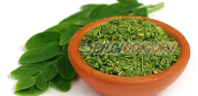 Şifalı Bitki: Moringa Oleifera Nedir? Faydaları Nelerdir?