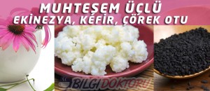 Çörek Otu, Ekinezya ve Kefir Üçlüsü