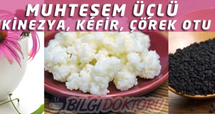 Çörek Otu, Ekinezya ve Kefir Üçlüsü