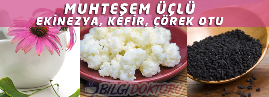 Çörek Otu, Ekinezya ve Kefir Üçlüsü