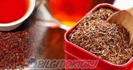 Rooibos Çayı (Aspalathus Linearis)