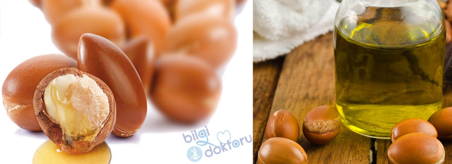 Argan Yağının Kullanımı ve Faydaları