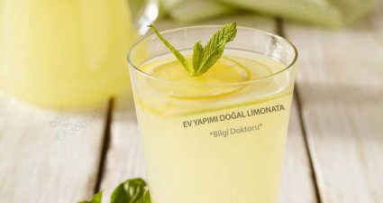 Ev yapımı doğal limonata tarifi