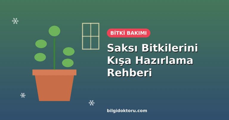 Saksı bitkilerini kışa hazırlama rehberi